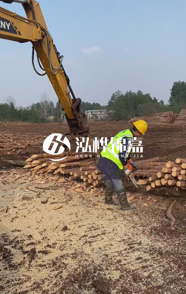 銅陵挖機打木樁專業(yè)施工-打松木樁一般算米還是算根？