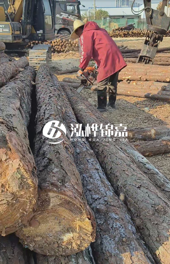 長沙打樁木批發(fā)廠家在哪里？聯系方式是什么？